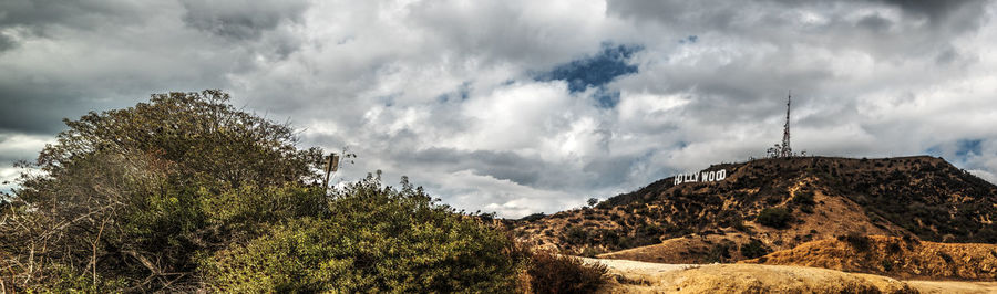 Low angle view of trees on mountain against sky