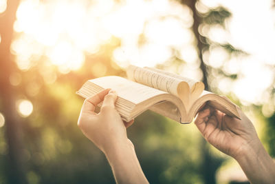 Cropped hands of woman holding book with heart shape pages in park during sunset