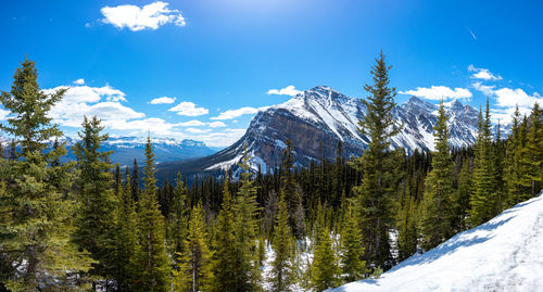 A panoramic view of fairview mountain from the hiking trail below lake agnes.