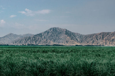 Scenic view of land and mountains against sky