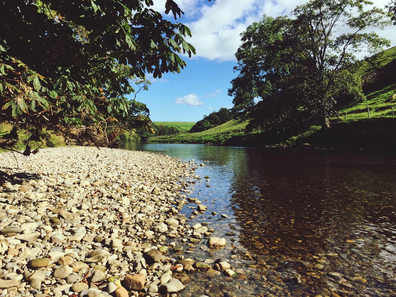 tree, water, tranquil scene, scenics, tranquility, lake, beauty in nature, sky, nature, leaf, non-urban scene, branch, cloud - sky, day, growth, cloud, green color, pebble, calm, outdoors, no people, countryside, majestic