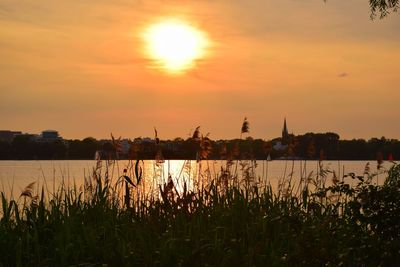 Silhouette plants by lake against romantic sky at sunset