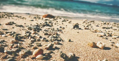 Scenic view of beach