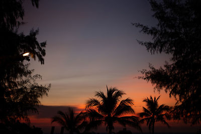 Low angle view of silhouette trees against sky during sunset