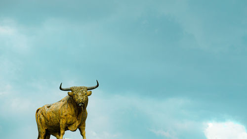 Low angle view of cow against sky