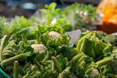 Close-up of vegetables for sale at market stall