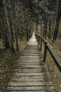 Down facing old wooden steps into a park.