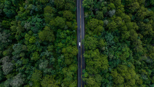 Aerial view over forest road with asphalt road and forest, road in the middle of the forest.