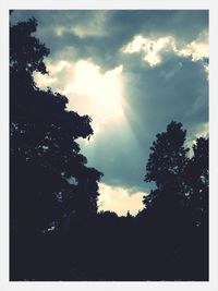 Low angle view of trees against cloudy sky