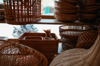 Cat relaxing in basket at store