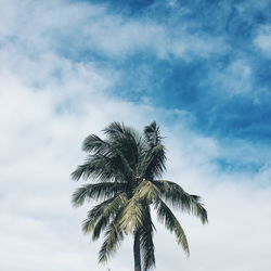 Low angle view of palm trees against cloudy sky