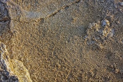 High angle view of footprints on sand at beach