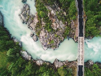Scenic view of river amidst trees in forest