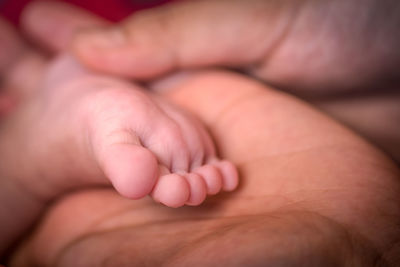 Close-up of father holding baby hand