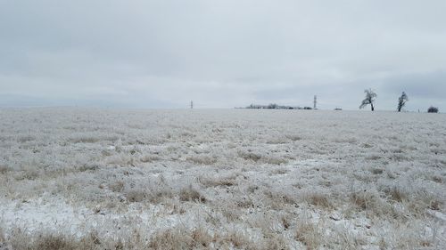 Snow covered plants on field against cloudy sky