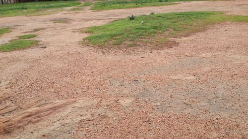 Road passing through field