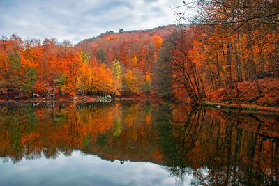 Reflection of trees on lake during autumn