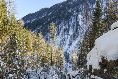 Scenic view of snow covered mountain