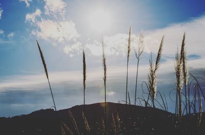 Sun shining through clouds