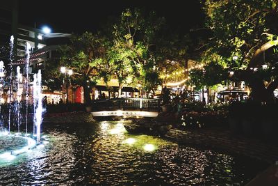 Reflection of trees in swimming pool at night