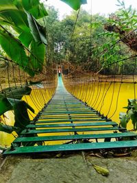 Boardwalk amidst trees