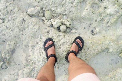 Low section of man standing on rock