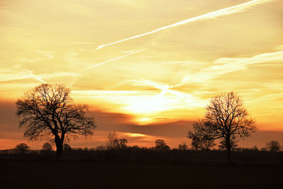 Silhouette trees on field against sky during sunset
