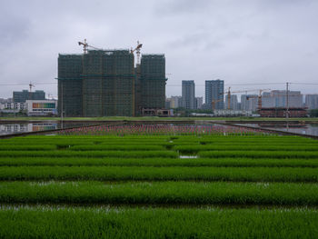 Cityscape against sky