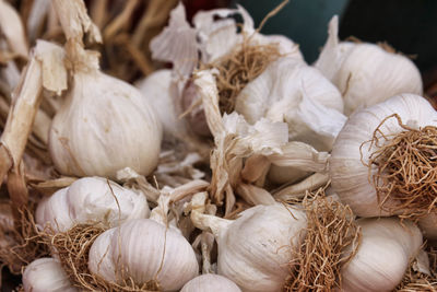 Close-up of garlic bulbs for sale in market