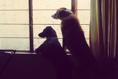 Low section of person with cat on window