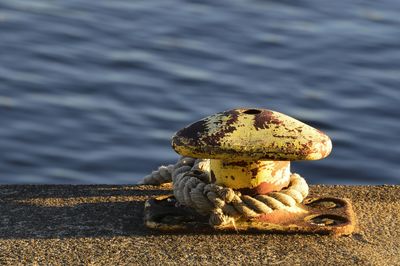 Close-up of rope tied on pier