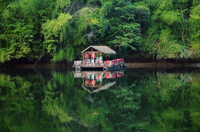 Scenic view of lake by trees in forest