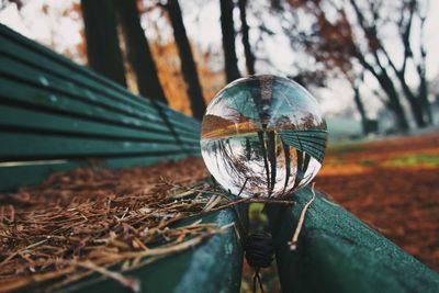 Close-up of crystal ball on field