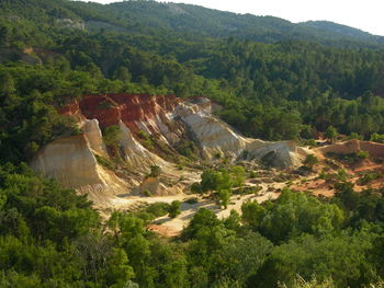 High angle view of trees on mountain