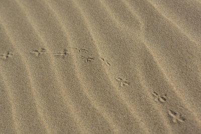 High angle view of footprints on sand