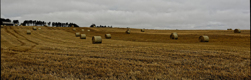 Hay bales on field against sky