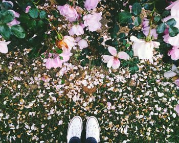 Low section of person standing by flowers