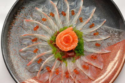 High angle view of fish in water