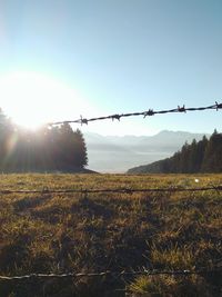 Scenic view of field against sky during sunset