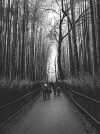 People walking on road in forest