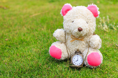 Close-up of stuffed toy on field