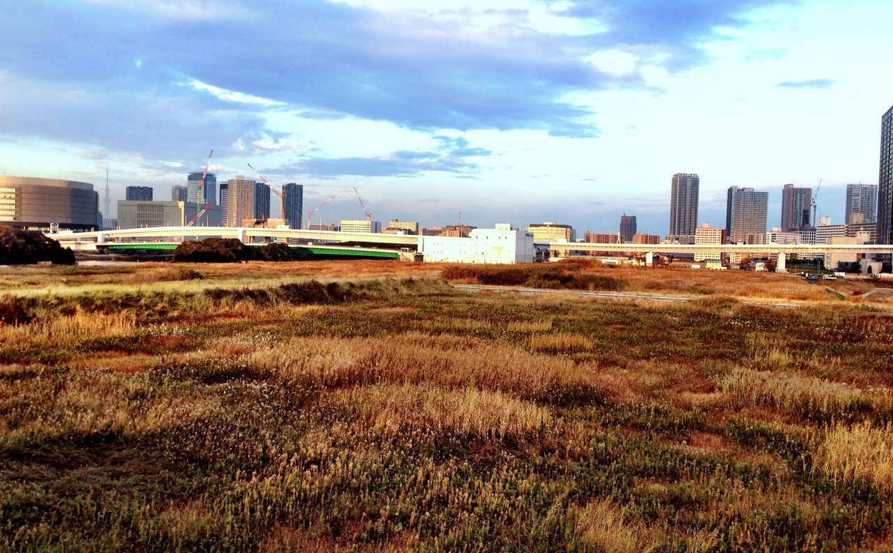 building exterior, architecture, built structure, city, sky, grass, field, skyscraper, cloud - sky, cityscape, urban skyline, modern, tower, growth, office building, building, tall - high, day, grassy, cloud