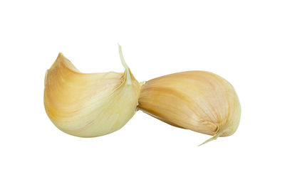 Close-up of bread against white background