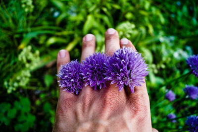 Close-up of hand holding flower