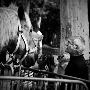 Side view of senior man standing by horse in pen