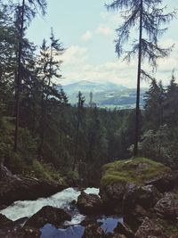 Scenic view of river in forest against sky