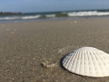 Close-up of sand on beach against sky