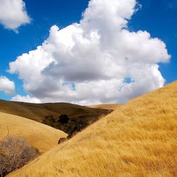 Scenic view of landscape against cloudy sky