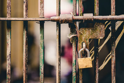 Close-up of padlock on metal gate