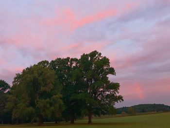 Trees on landscape against sky at sunset